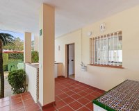 Rynek wtórny - apartment - Marbella - Nueva Andalucía