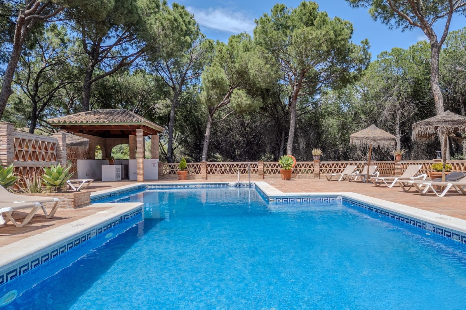 Rynek wtórny - apartment - Marbella - Nueva Andalucía