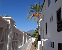 Rynek wtórny - apartment - Marbella - Nueva Andalucía