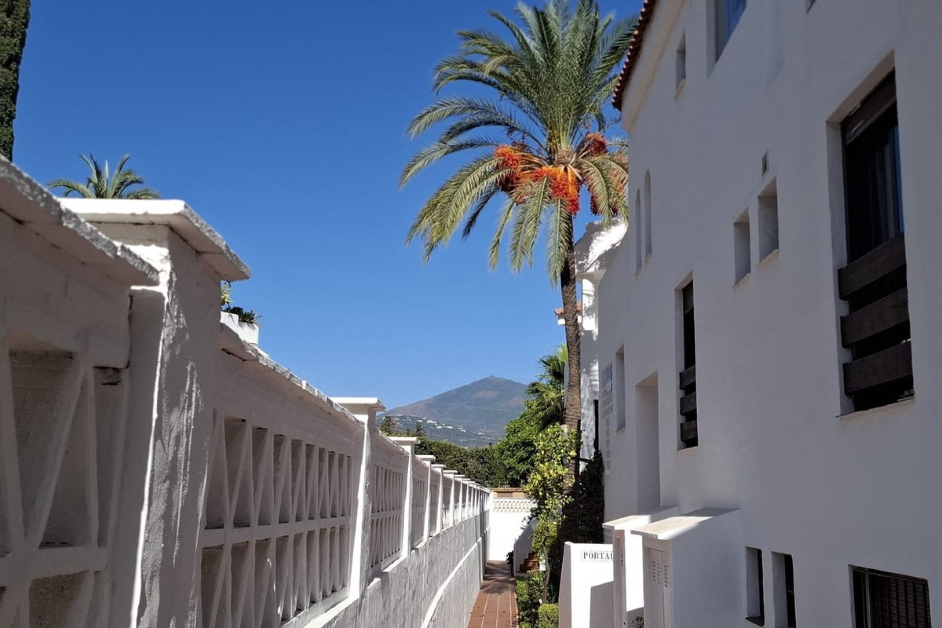 Rynek wtórny - apartment - Marbella - Nueva Andalucía