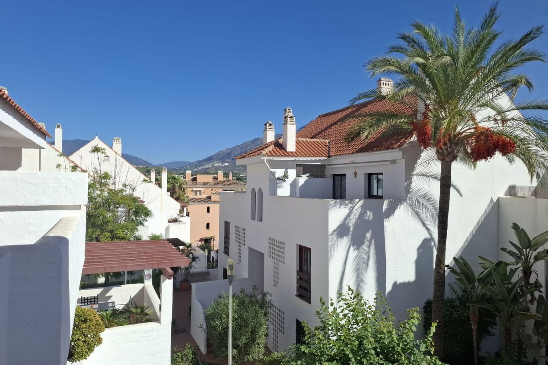 Rynek wtórny - apartment - Marbella - Nueva Andalucía