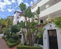 Rynek wtórny - apartment - Marbella - Nueva Andalucía