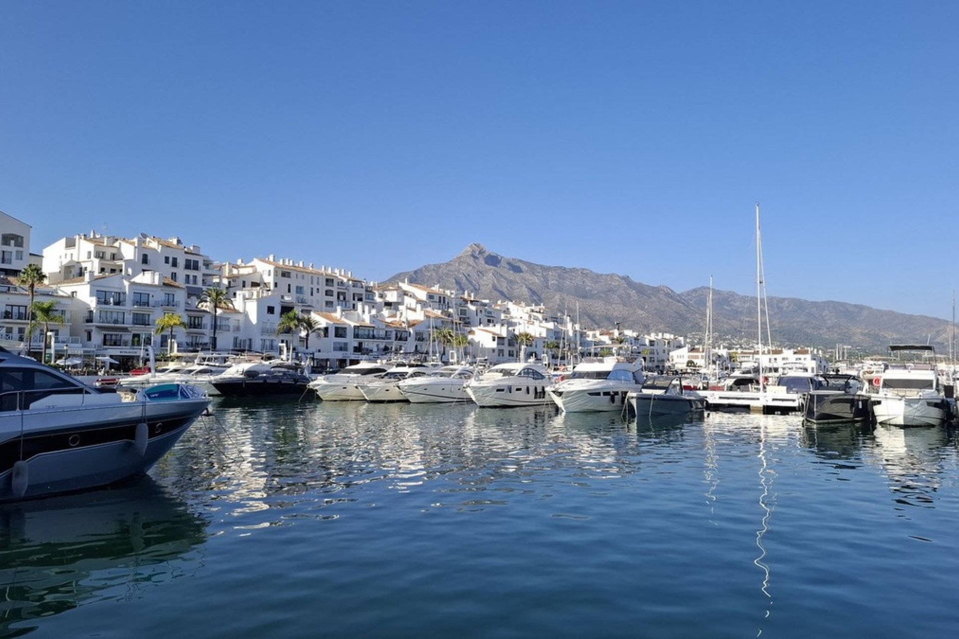 Rynek wtórny - apartment - Marbella - Nueva Andalucía