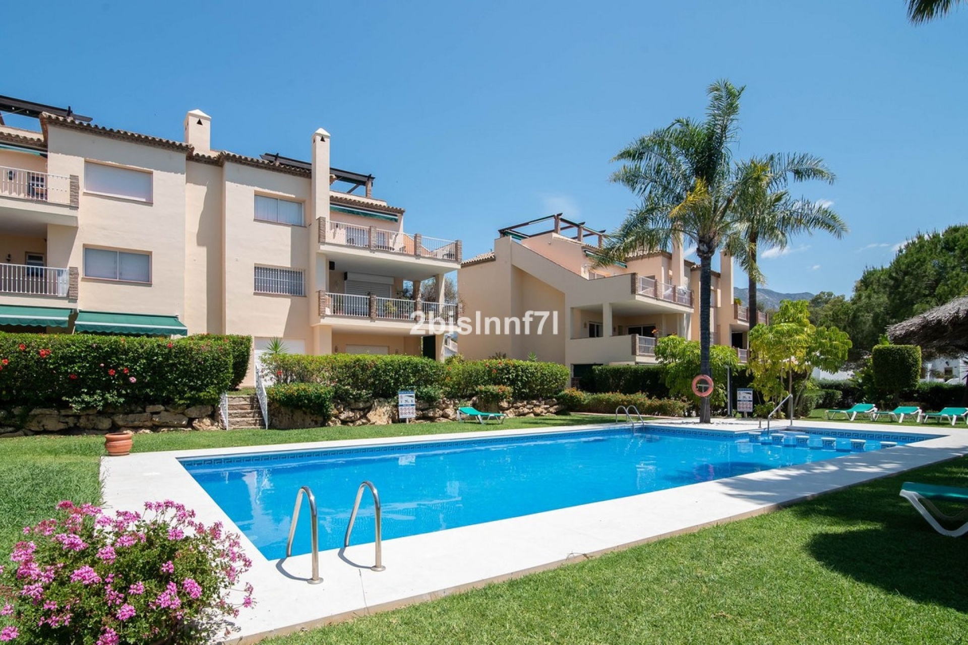 Rynek wtórny - apartment - Marbella - Nueva Andalucía