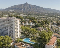Rynek wtórny - apartment - Marbella - Nueva Andalucía