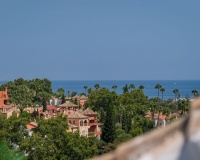 Rynek wtórny - apartment - Marbella - Nueva Andalucía