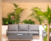 Rynek wtórny - apartment - Marbella - Nueva Andalucía
