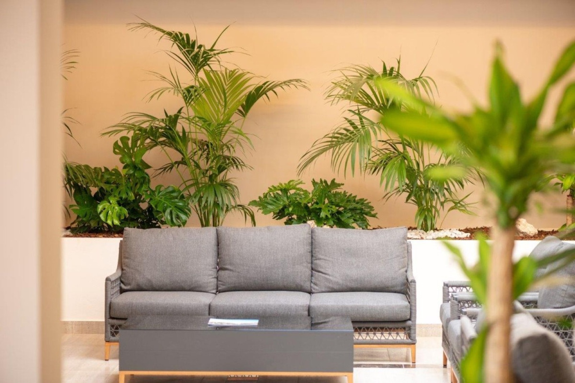 Rynek wtórny - apartment - Marbella - Nueva Andalucía