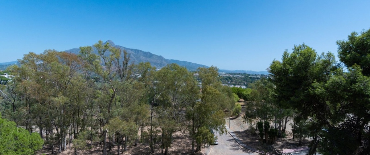 Rynek wtórny - apartment - Marbella - Nueva Andalucía