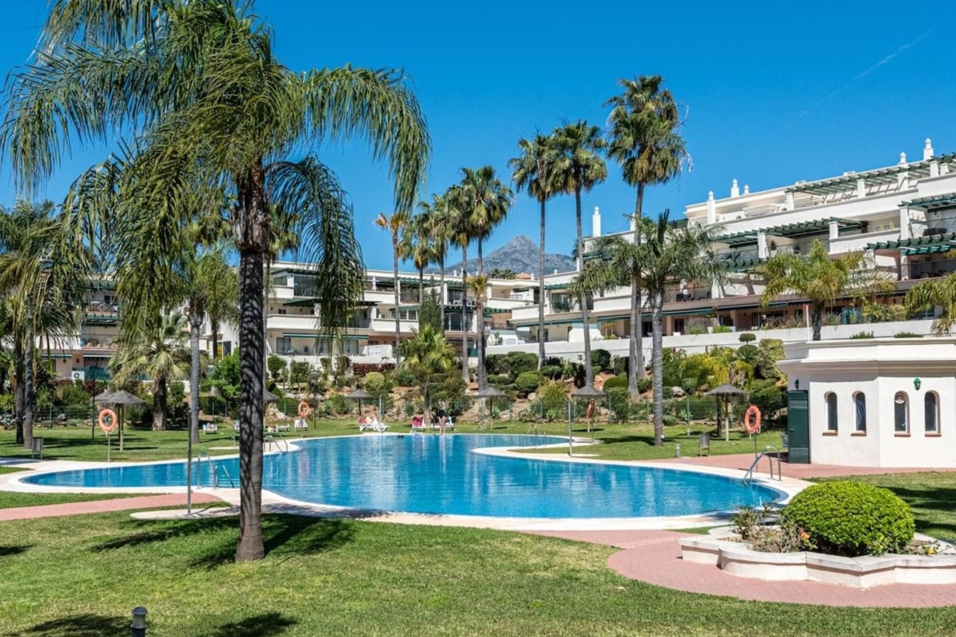 Rynek wtórny - apartment - Marbella - Nueva Andalucía