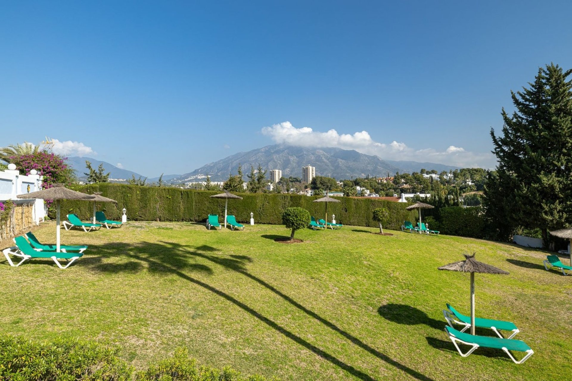 Rynek wtórny - apartment - Marbella - Nueva Andalucía