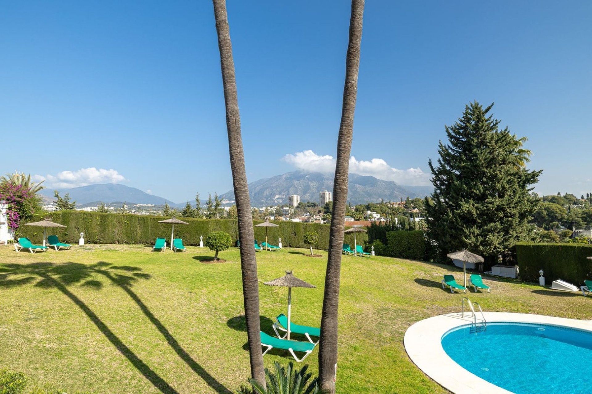 Rynek wtórny - apartment - Marbella - Nueva Andalucía
