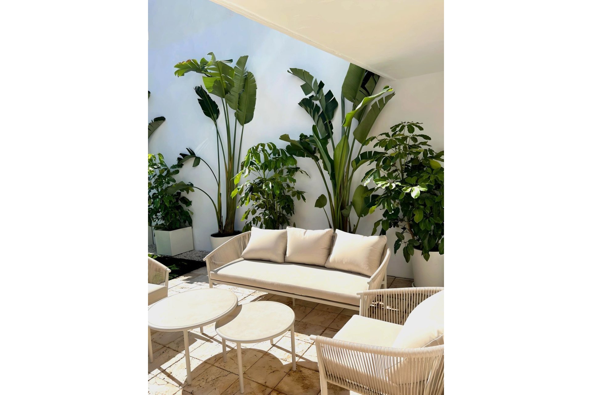 Rynek wtórny - apartment - Marbella - Nueva Andalucía