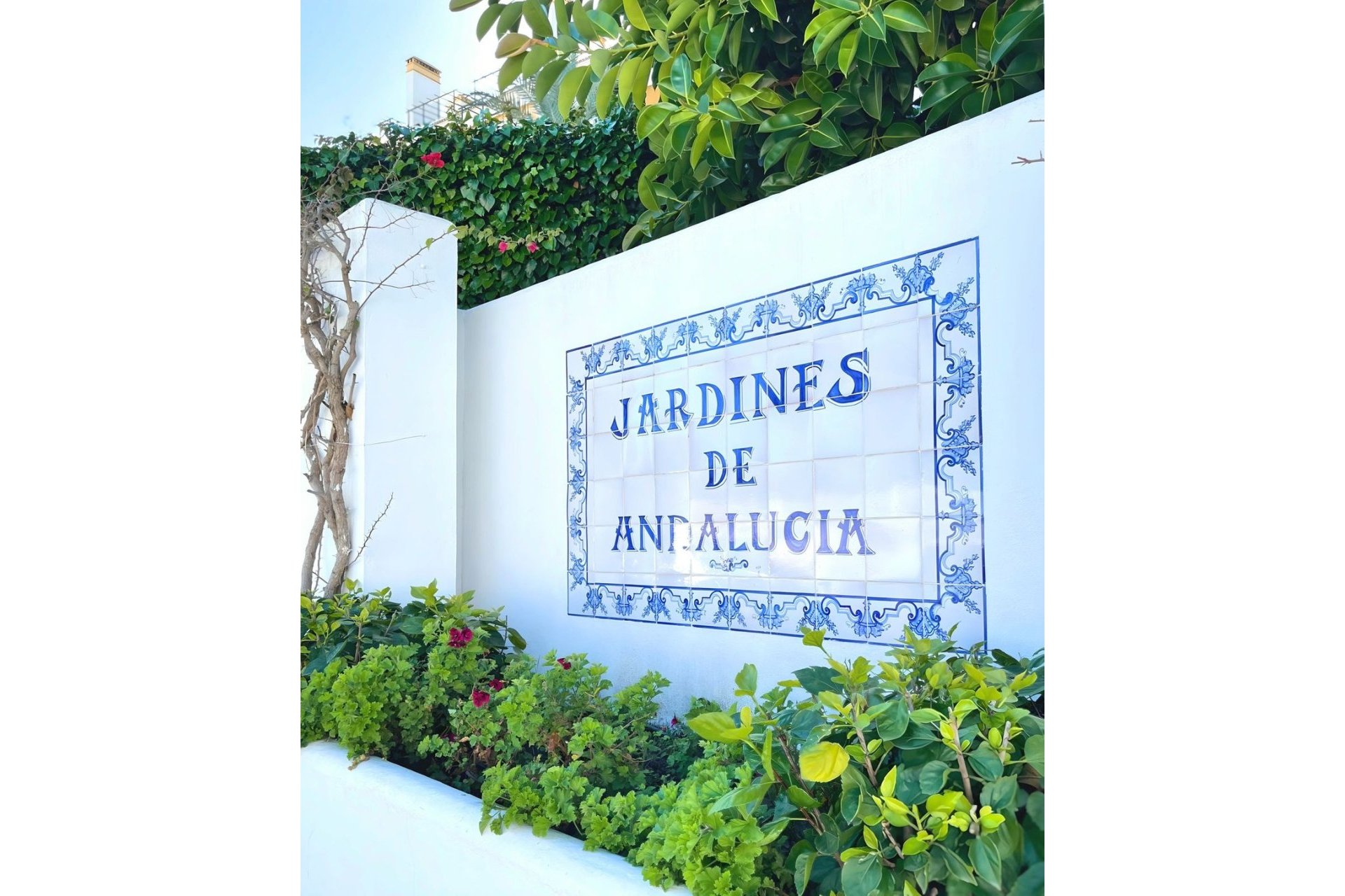 Rynek wtórny - apartment - Marbella - Nueva Andalucía