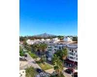 Rynek wtórny - apartment - Marbella - Nueva Andalucía