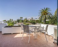 Rynek wtórny - apartment - Marbella - Nueva Andalucía