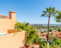 Rynek wtórny - apartment - Marbella - Nueva Andalucía