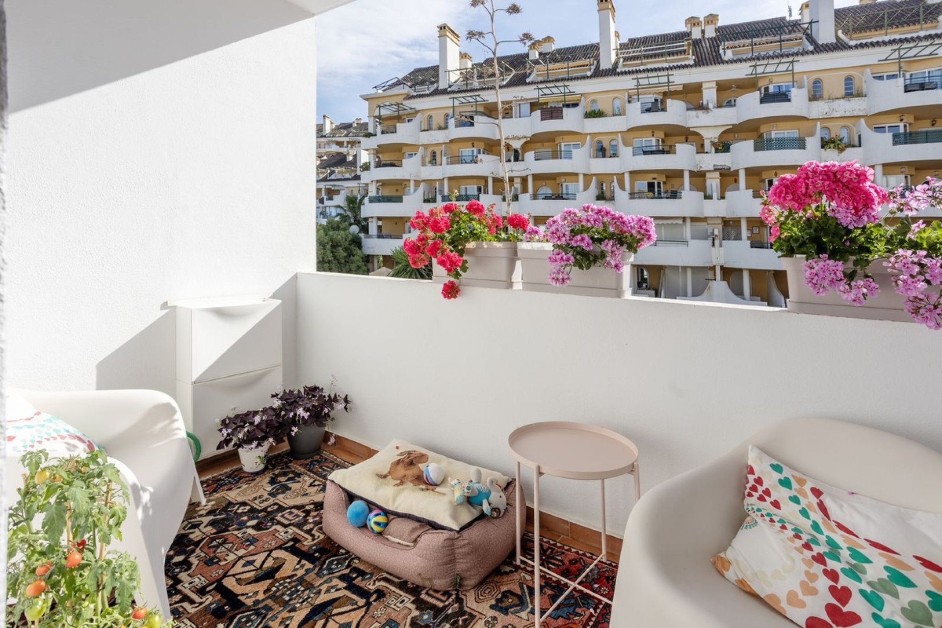 Rynek wtórny - apartment - Marbella - Nueva Andalucía