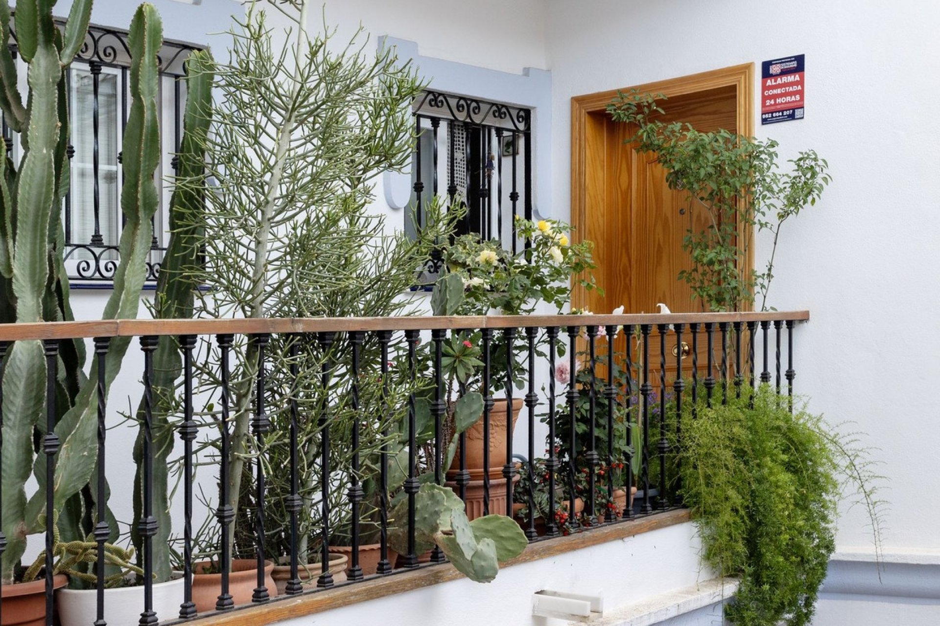 Rynek wtórny - apartment - Marbella - Nueva Andalucía