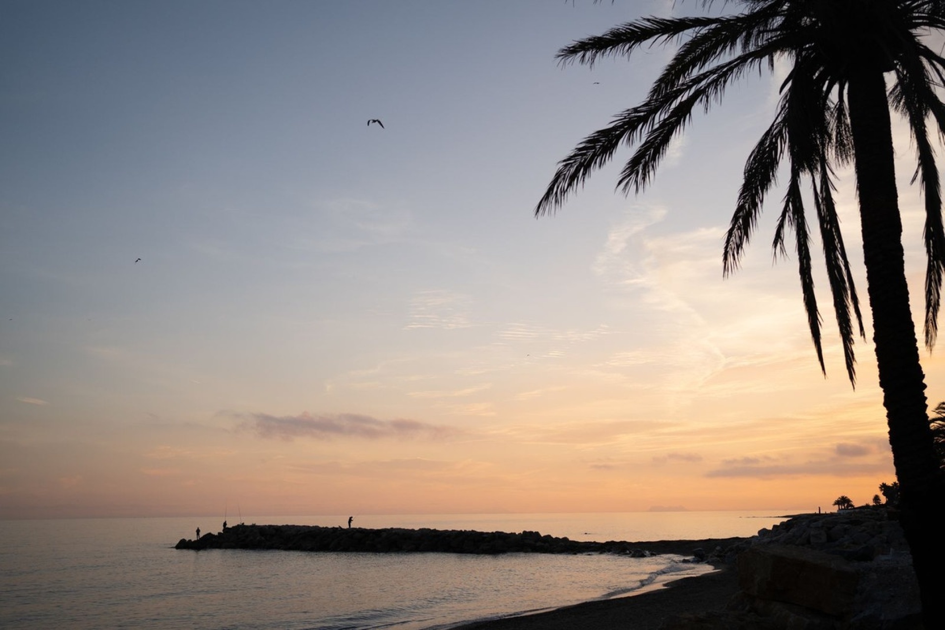 Rynek wtórny - apartment - Marbella - Puerto Banús