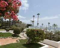 Rynek wtórny - apartment - Marbella - Puerto Banús