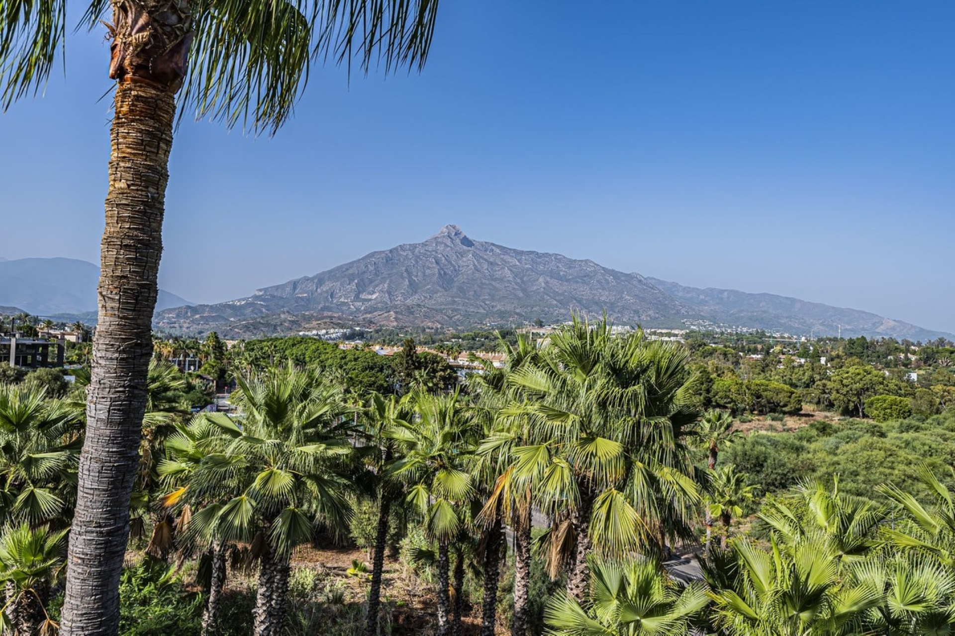 Rynek wtórny - apartment - Marbella - Puerto Banús