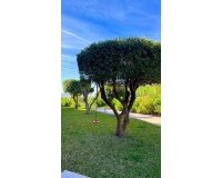 Rynek wtórny - apartment - Marbella - Reserva de Marbella