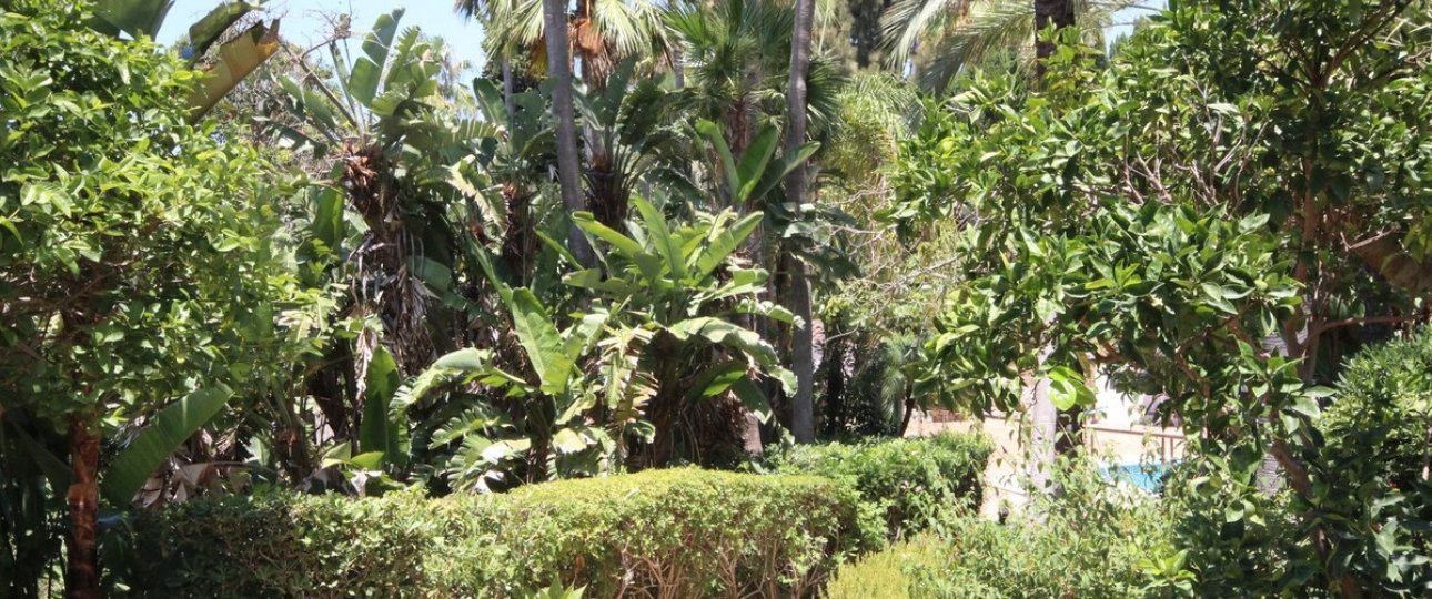 Rynek wtórny - apartment - Marbella - Reserva de Marbella