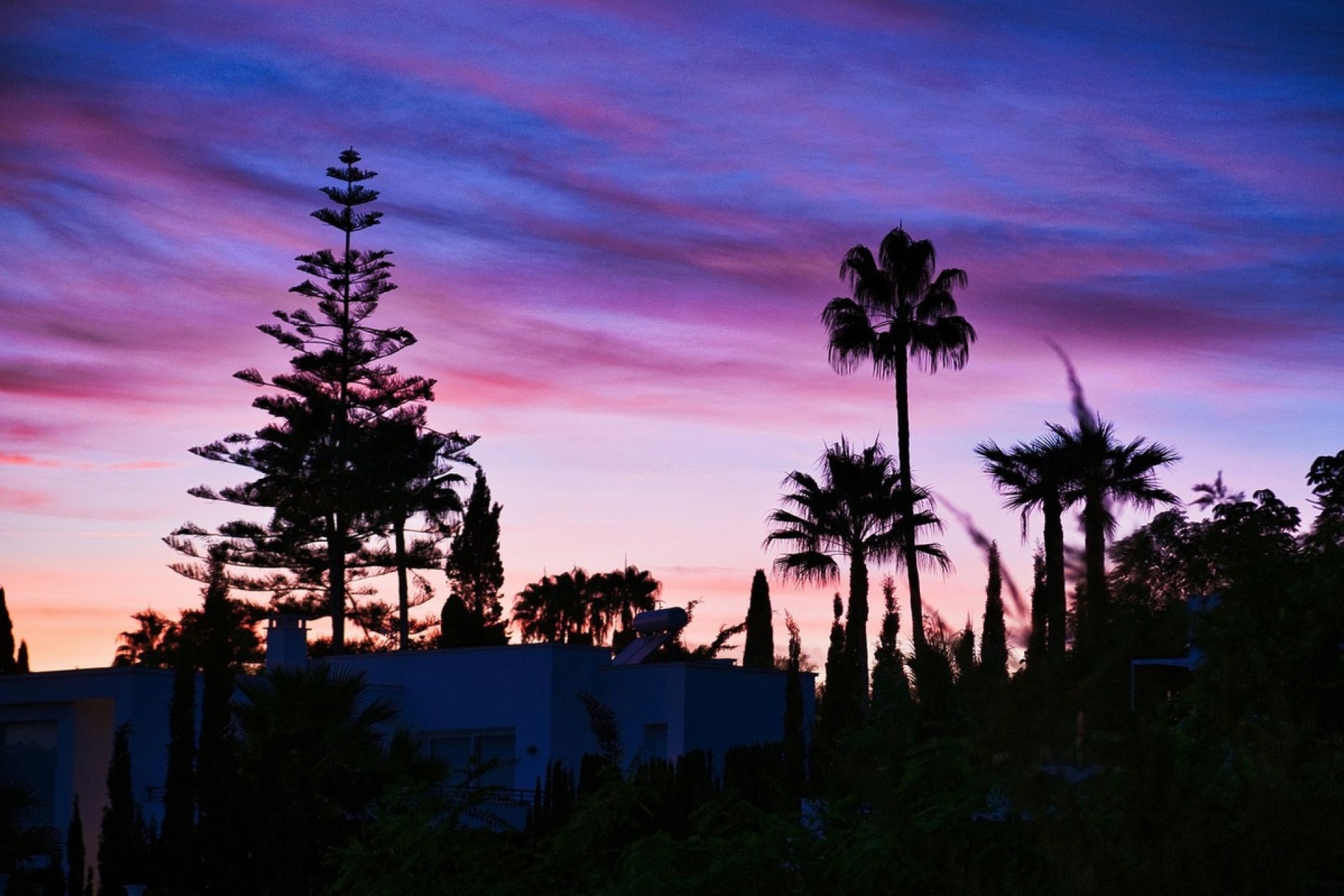 Rynek wtórny - apartment - Marbella - Reserva de Marbella