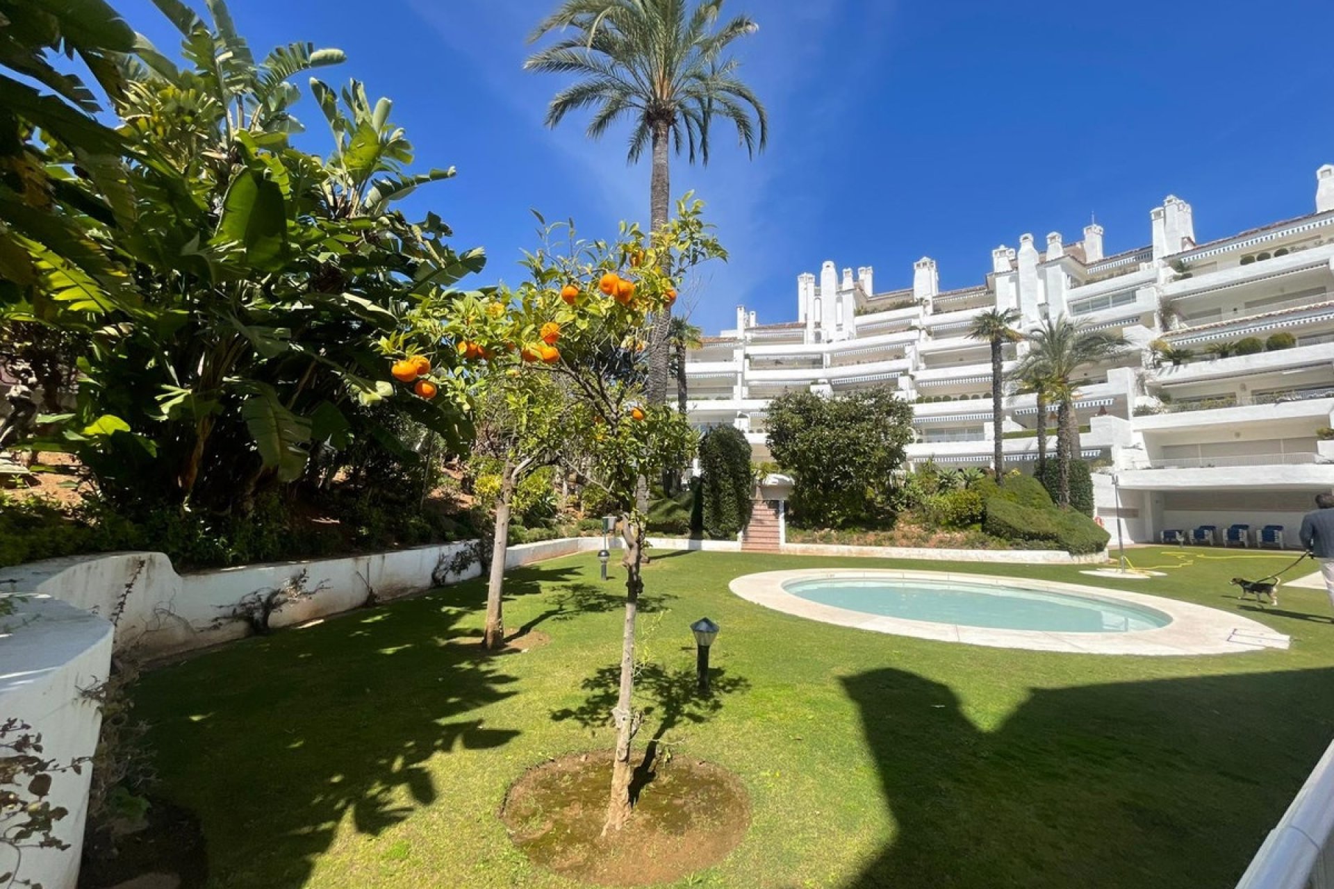 Rynek wtórny - apartment - Marbella - Río Real
