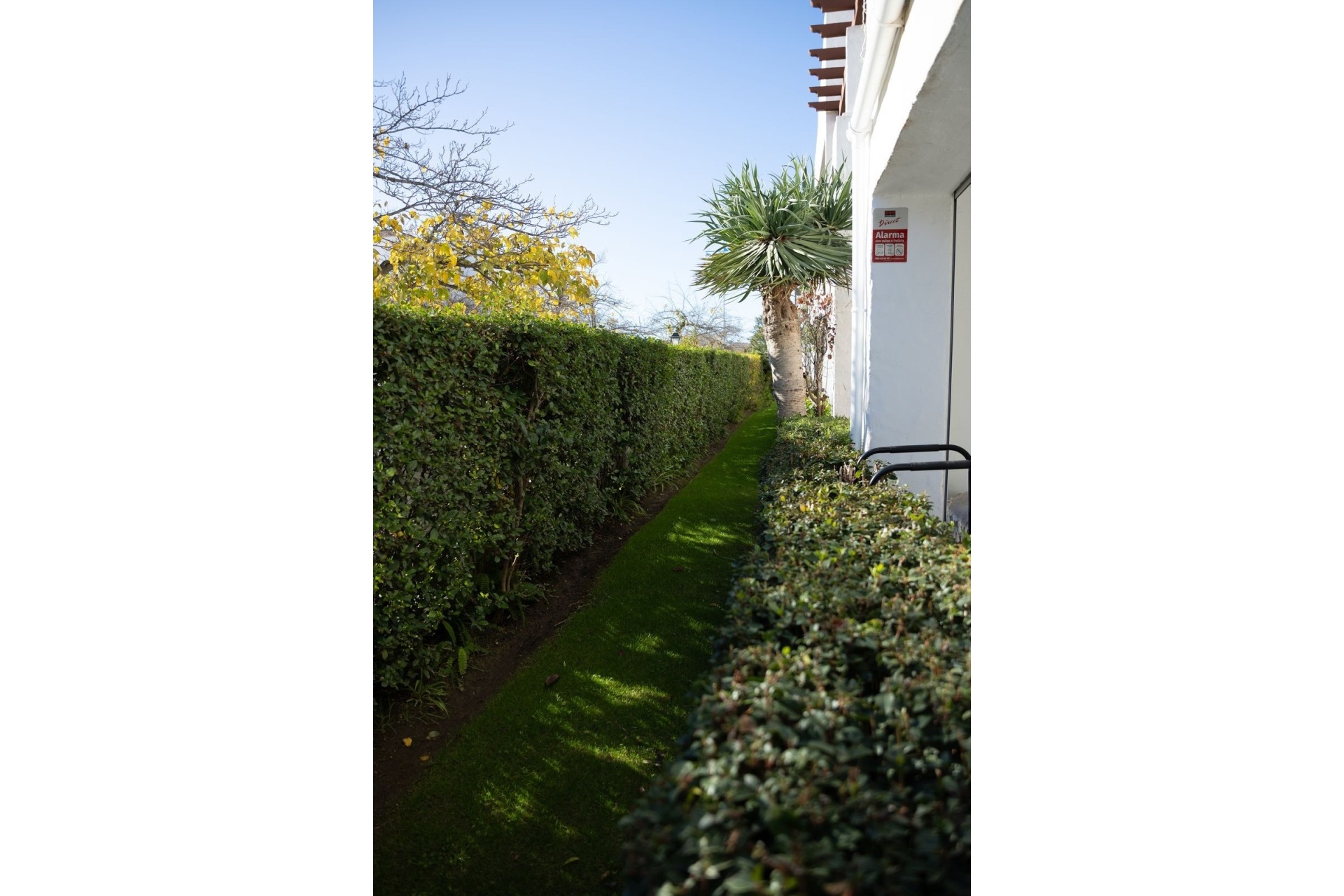Rynek wtórny - apartment - Marbella - San Pedro de Alcántara