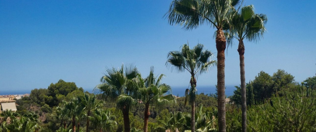 Rynek wtórny - apartment - Marbella - Sierra Blanca