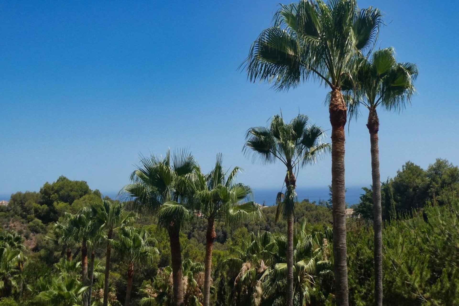 Rynek wtórny - apartment - Marbella - Sierra Blanca