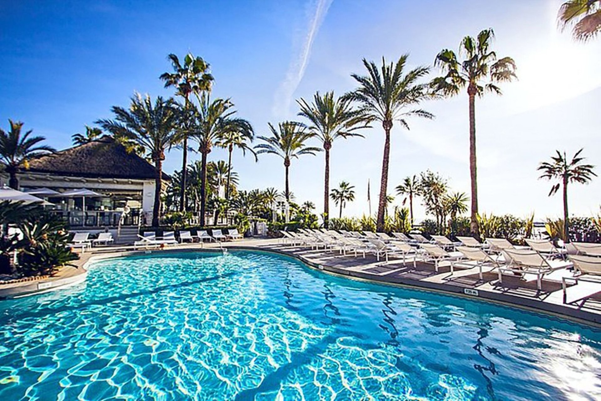 Rynek wtórny - apartment - Marbella - The Golden Mile