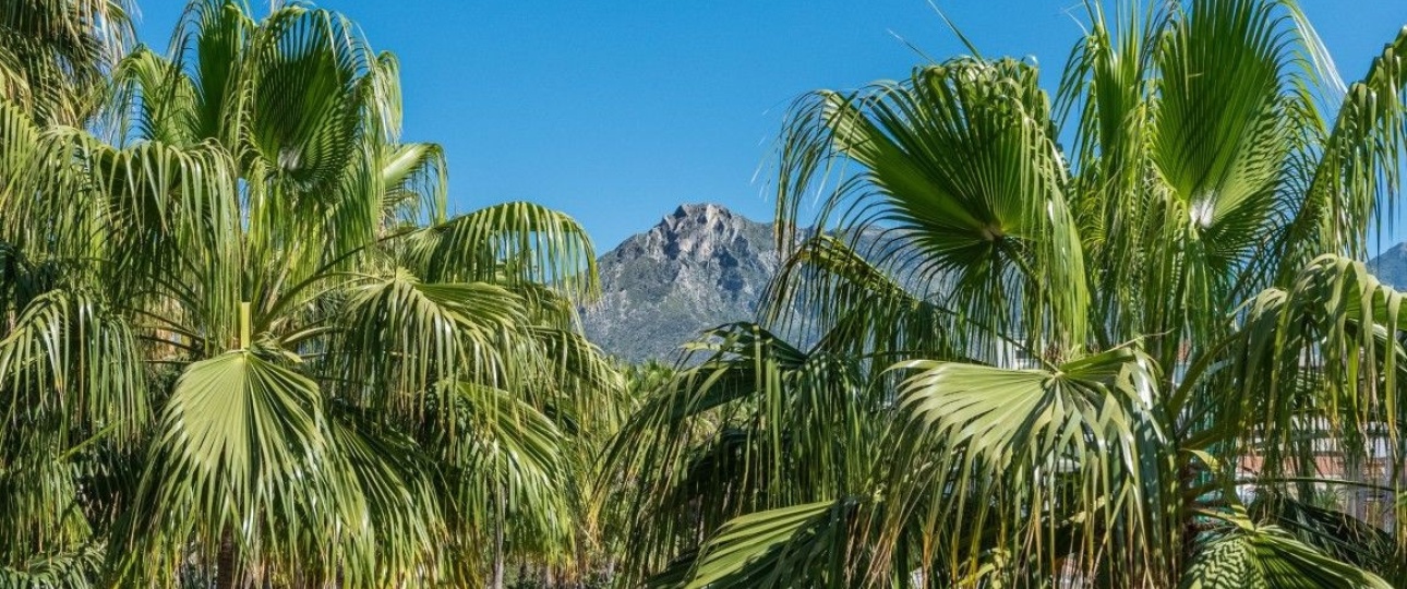 Rynek wtórny - apartment - Marbella - The Golden Mile