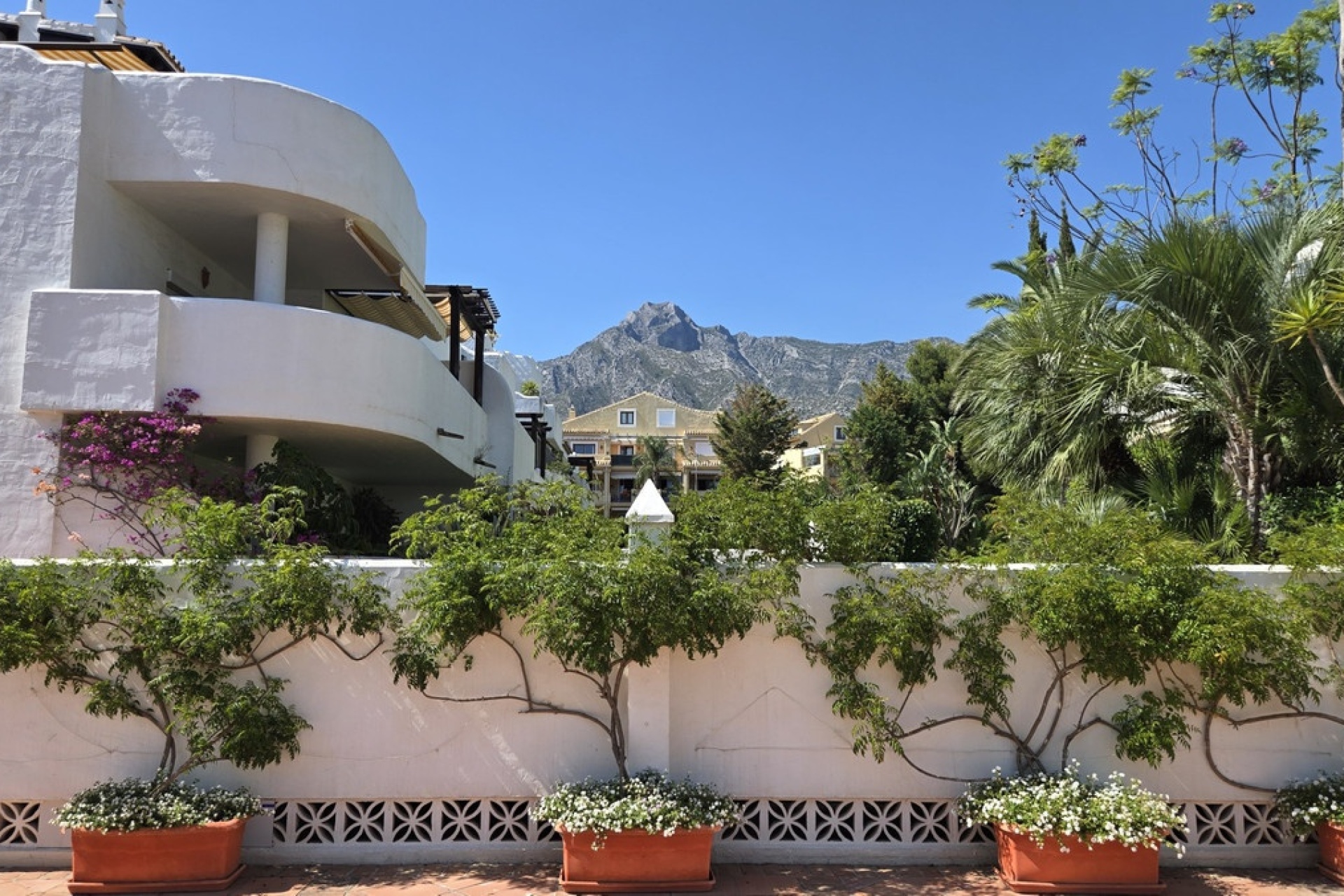 Rynek wtórny - apartment - Marbella - The Golden Mile