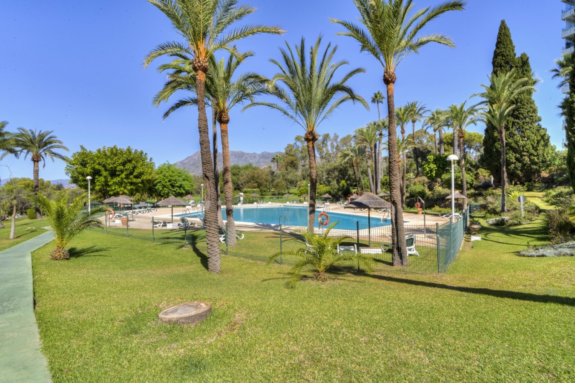 Rynek wtórny - apartment - Marbella - Torre Real