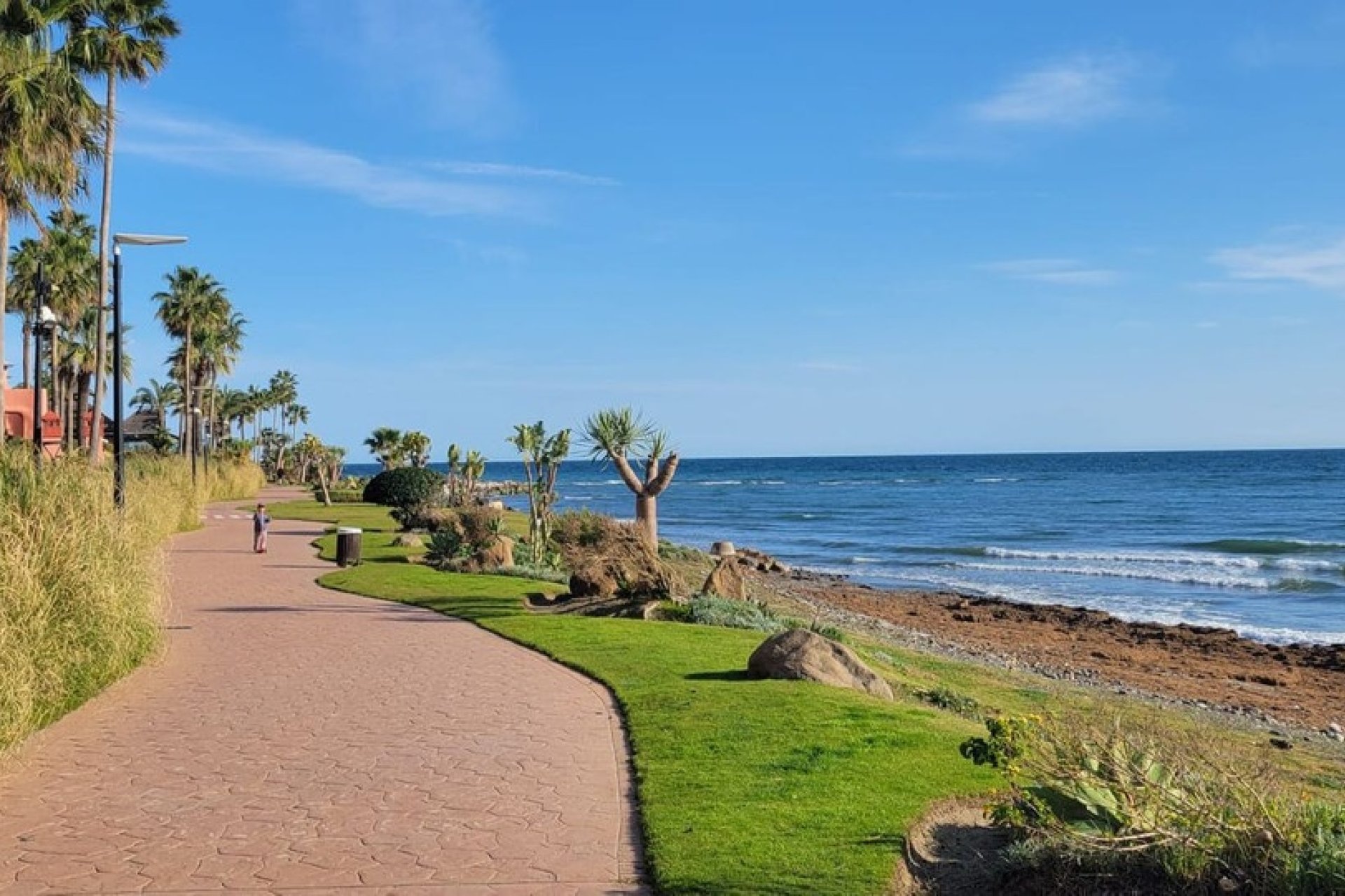 Rynek wtórny - apartment - Mijas - Calahonda