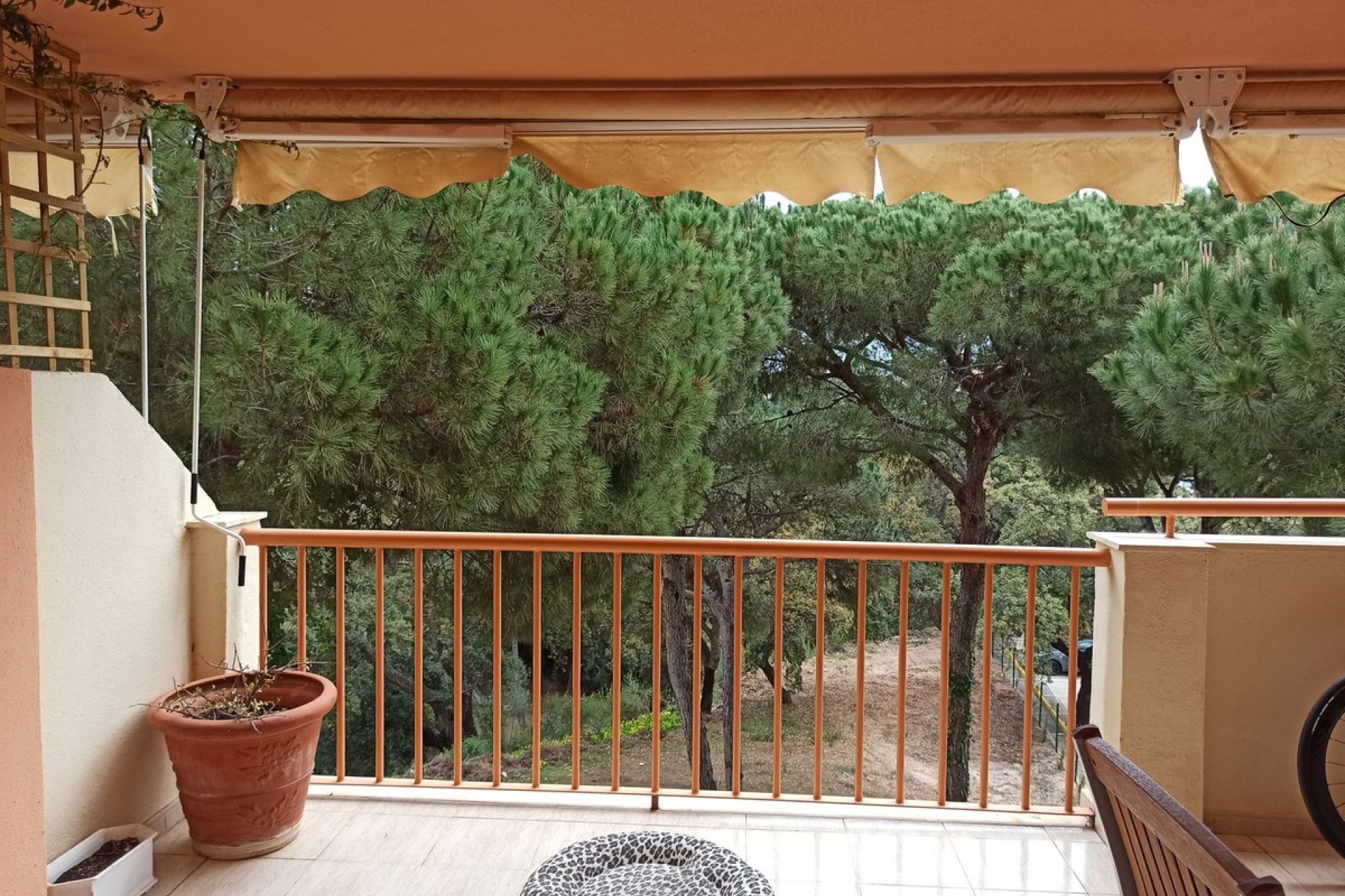 Rynek wtórny - apartment - Mijas - Calahonda