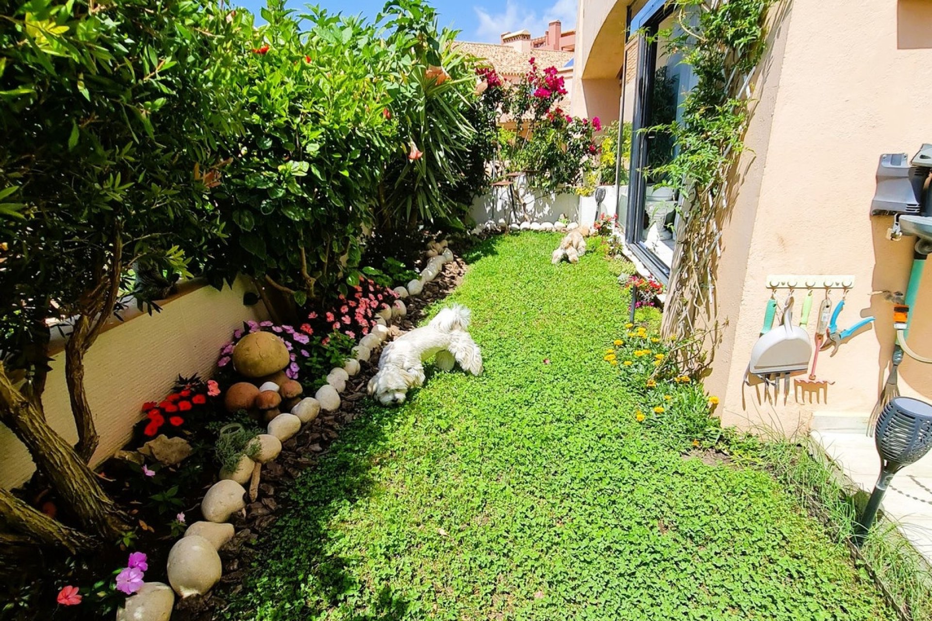 Rynek wtórny - apartment - Mijas - Calahonda