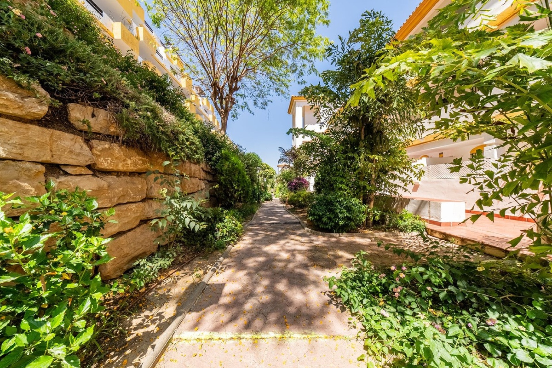 Rynek wtórny - apartment - Mijas - Calanova Golf