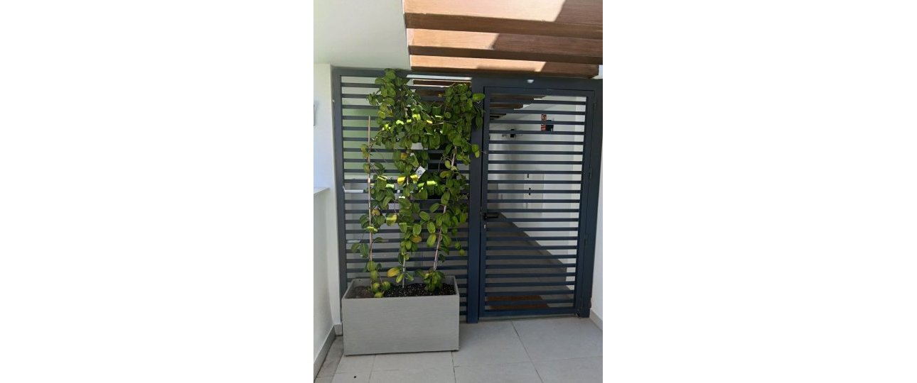 Rynek wtórny - apartment - Mijas - La Cala de Mijas