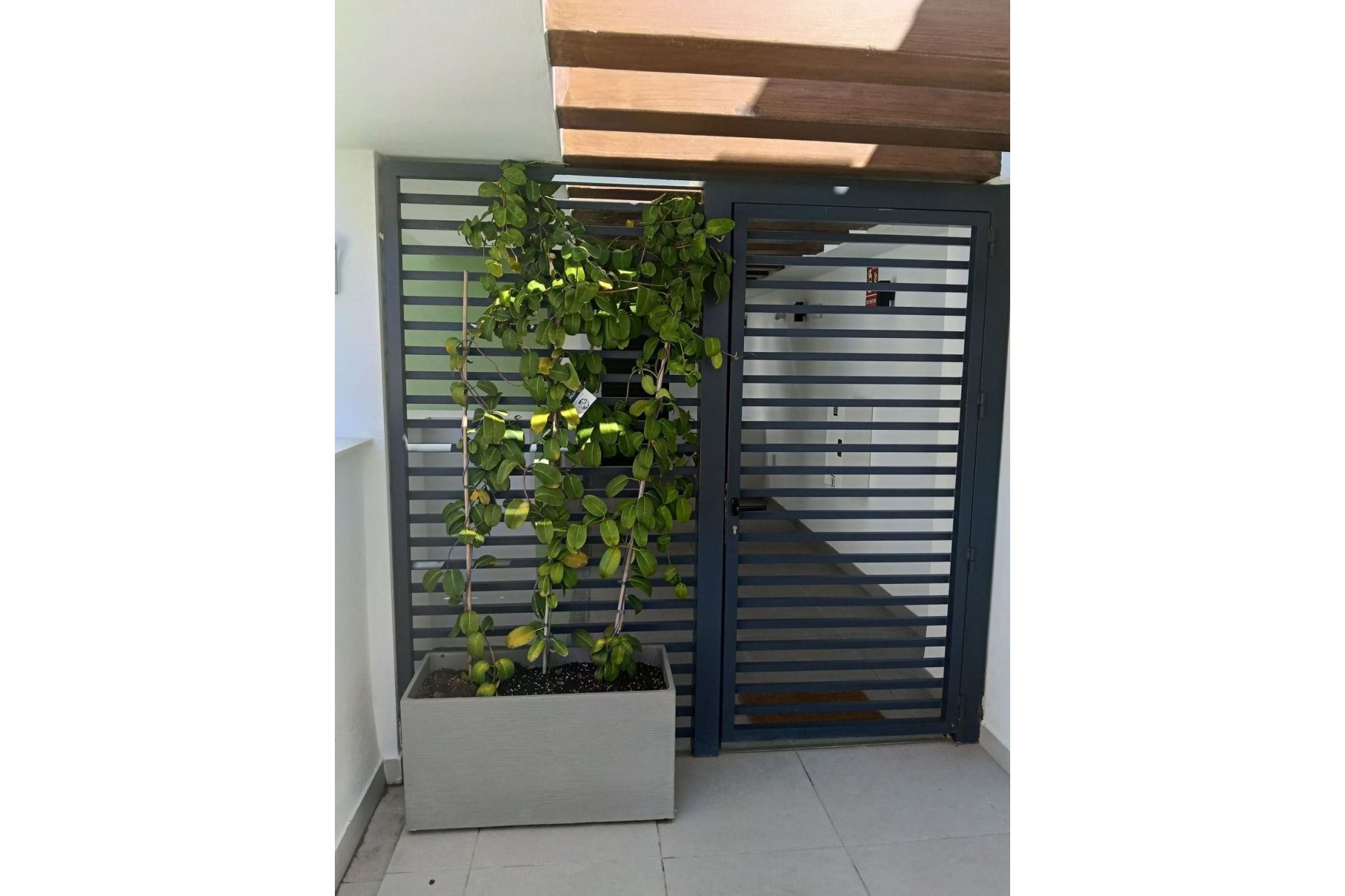 Rynek wtórny - apartment - Mijas - La Cala de Mijas