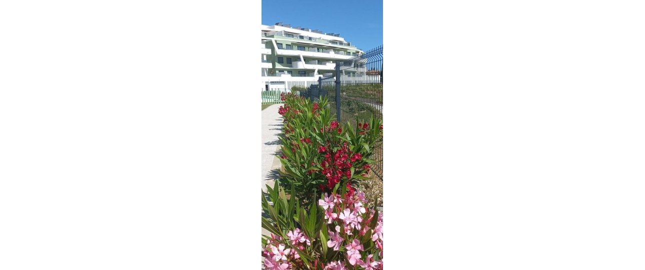 Rynek wtórny - apartment - Mijas - La Cala de Mijas