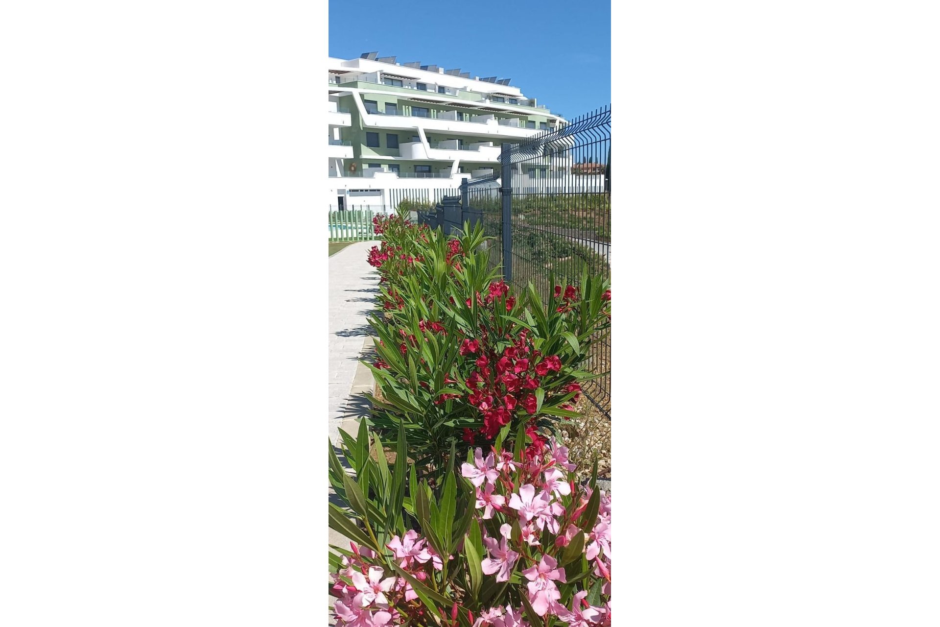 Rynek wtórny - apartment - Mijas - La Cala de Mijas