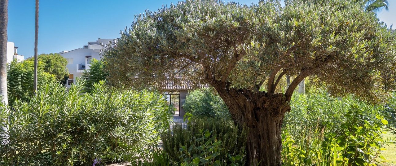 Rynek wtórny - apartment - Mijas - La Cala de Mijas
