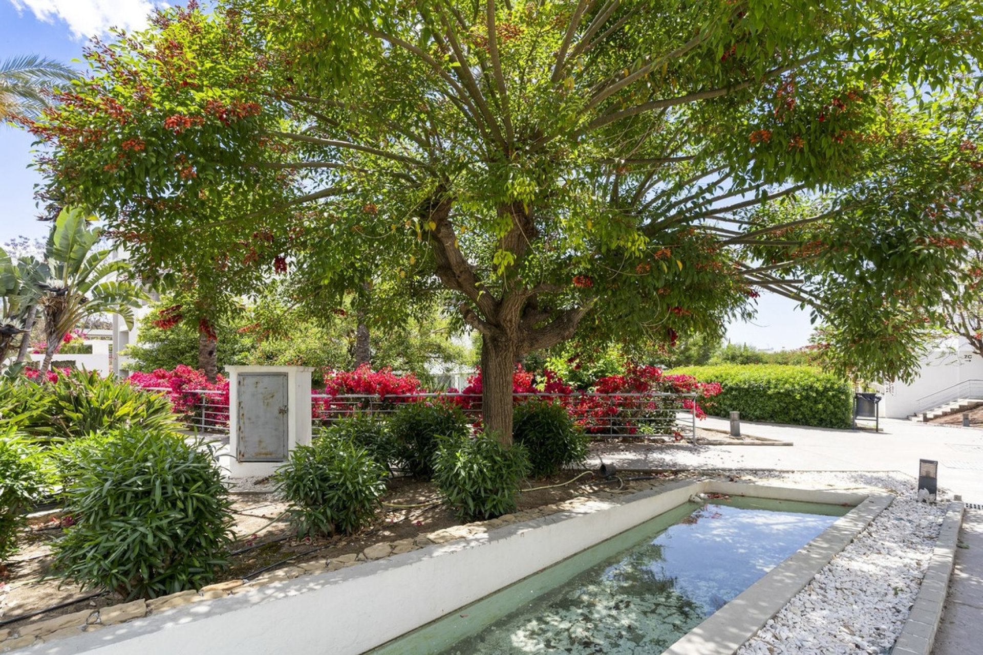 Rynek wtórny - apartment - Mijas - La Cala de Mijas