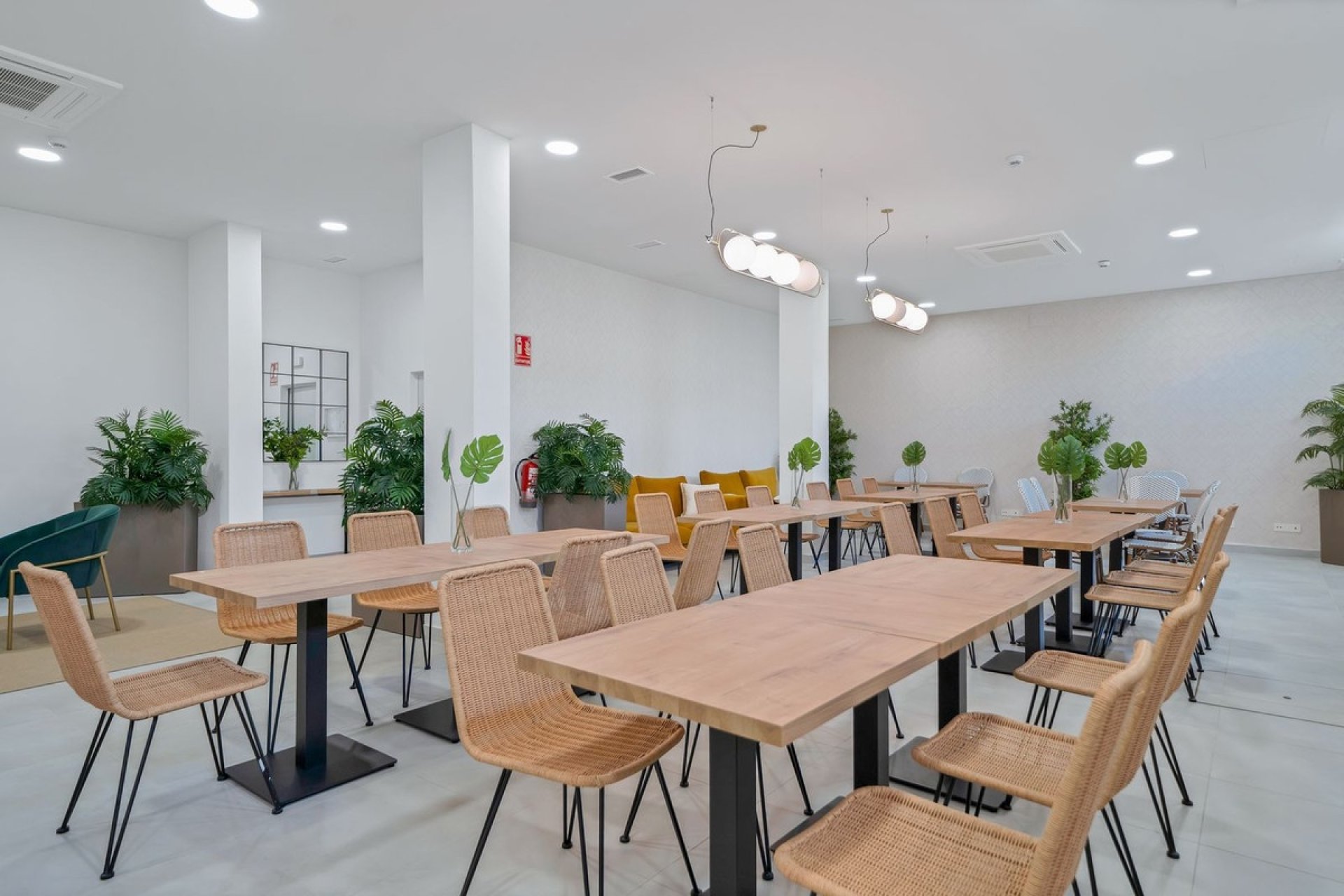 Rynek wtórny - apartment - Mijas - Mijas Costa