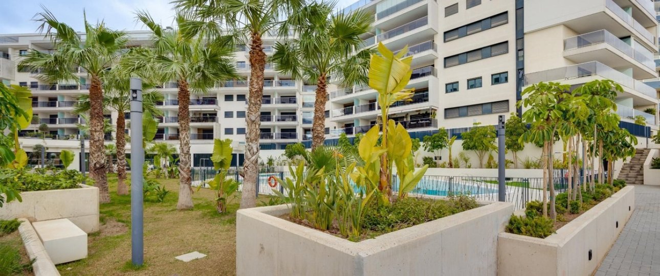 Rynek wtórny - apartment - Orihuela - Campoamor