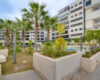 Rynek wtórny - apartment - Orihuela - Campoamor